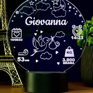 Luminária Tema cegonha Recém Nascido